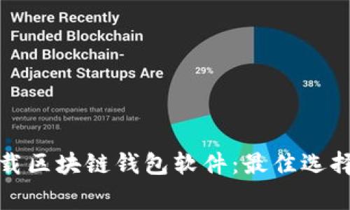 如何安全下载区块链钱包软件:最佳选择和注意事项