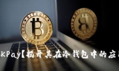什么是OKPay?揭开其在冷钱包中的应用与功能