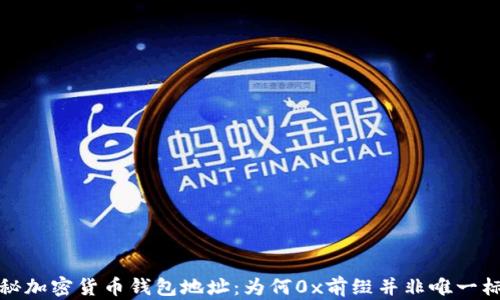 
探秘加密货币钱包地址：为何0x前缀并非唯一标识