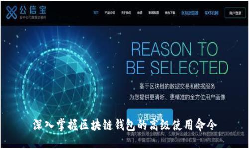 深入掌握区块链钱包的高级使用命令