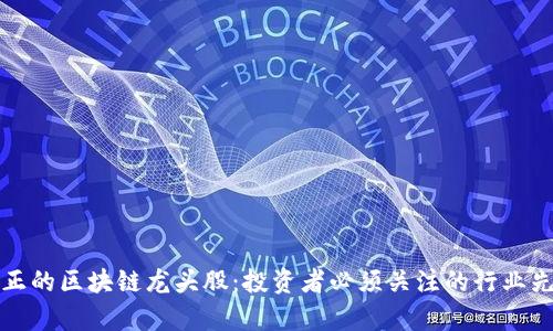 真正的区块链龙头股:投资者必须关注的行业先锋