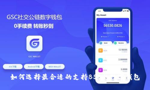 如何选择最合适的支持BSC的数字钱包