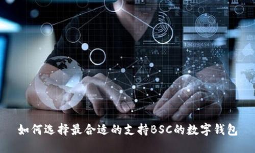 如何选择最合适的支持BSC的数字钱包