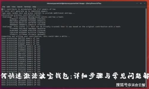 如何快速激活波宝钱包:详细步骤与常见问题解答