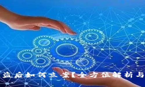 虚拟币钱包被盗后如何立案?全方位解析与最佳应对策略