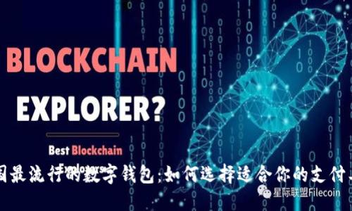 中国最流行的数字钱包:如何选择适合你的支付工具