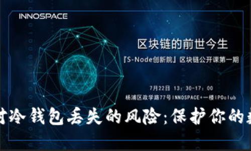 如何应对冷钱包丢失的风险:保护你的数字资产