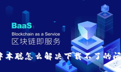 : 中本聪怎么解决下载不了的问题?