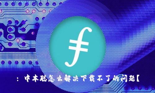 : 中本聪怎么解决下载不了的问题?