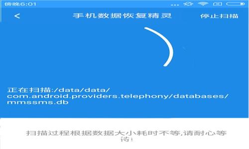 选择最合适的数字冷钱包:安全性、方便性与功能性的全面分析