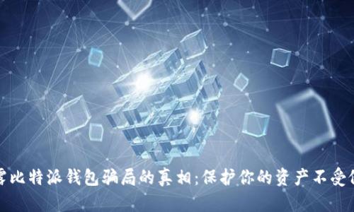 揭露比特派钱包骗局的真相:保护你的资产不受侵害