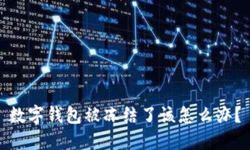 数字钱包被冻结了该怎么办?