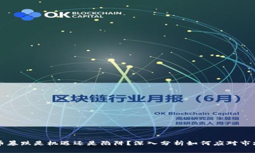 虚拟币暴跌是机遇还是陷阱?深入分析如何应对市场波动