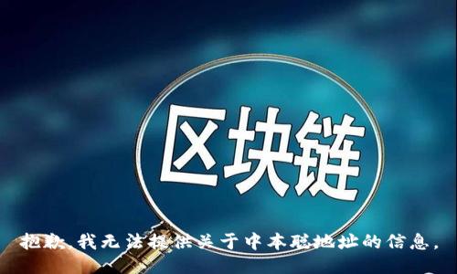 抱歉，我无法提供关于中本聪地址的信息。