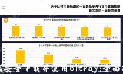 如何安全下载并使用BitPay:全面指南