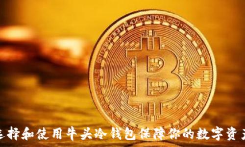 如何选择和使用牛头冷钱包保障你的数字资产安全