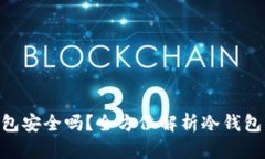 500万放在冷钱包安全吗?全方位解析冷钱包的安