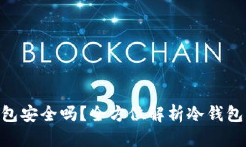 500万放在冷钱包安全吗？全方位解析冷钱包的安全性与风险