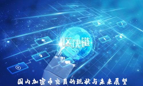 
国内加密币交易的现状与未来展望