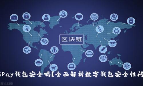 CGPay钱包安全吗?全面解析数字钱包安全性问题