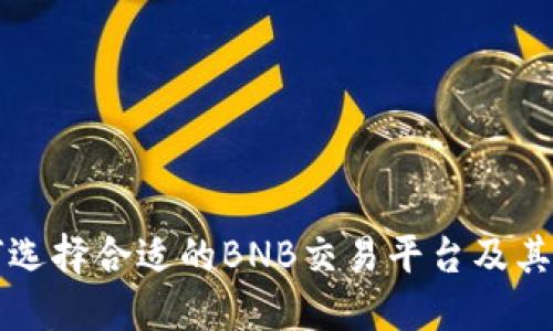 个人如何选择合适的BNB交易平台及其风险防范