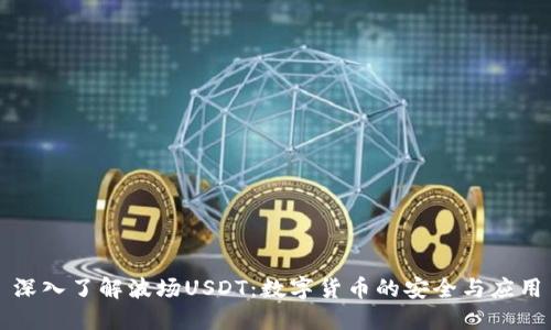 深入了解波场USDT:数字货币的安全与应用