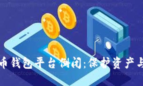 如何应对虚拟币钱包平台倒闭：保护资产与选择替代方案