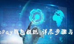 如何从GoPay钱包提现:详尽步骤与注意事项