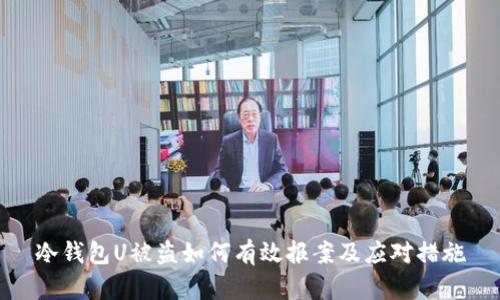 冷钱包U被盗如何有效报案及应对措施