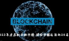 : 2023年度虚拟币排行榜:那些涉嫌违法的20名币种