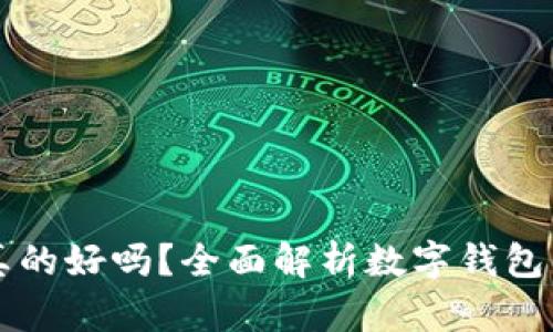 用数字钱包真的好吗?全面解析数字钱包的优势与挑战