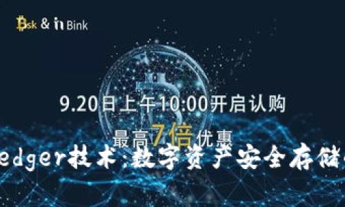 探索Ledger技术:数字资产安全存储的未来