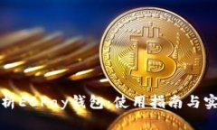 深入解析EBPay钱包:使用指南与实战技巧