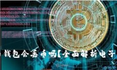 虚拟货币钱包会丢币吗?全面解析电子资产安全