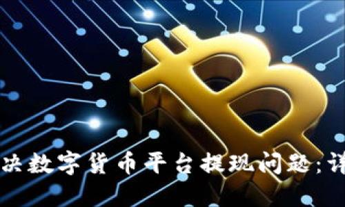 如何解决数字货币平台提现问题:详尽指南
