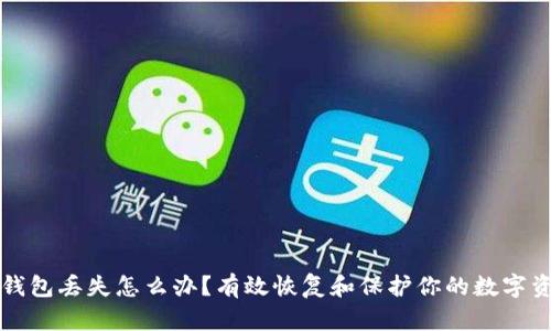 冷钱包丢失怎么办?有效恢复和保护你的数字资产