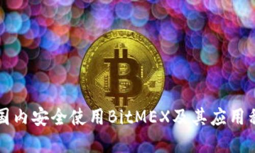 如何在国内安全使用BitMEX及其应用程序指南