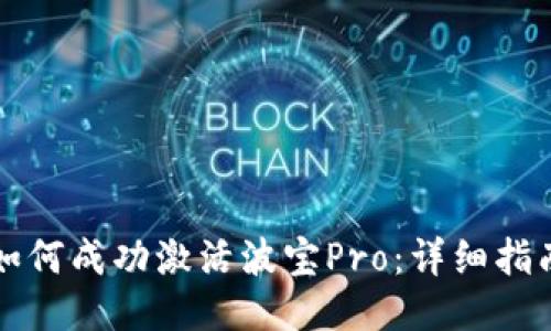 如何成功激活波宝Pro:详细指南