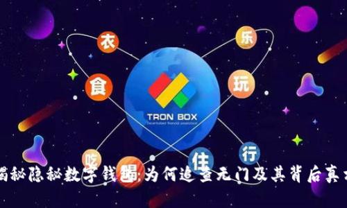 揭秘隐秘数字钱包：为何追查无门及其背后真相