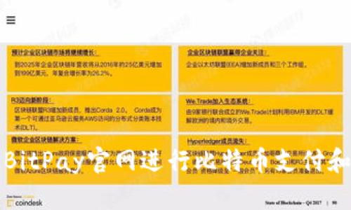如何有效使用BitPay官网进行比特币支付和管理数字资产