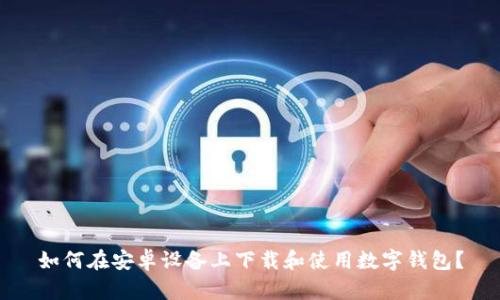 如何在安卓设备上下载和使用数字钱包？