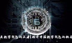 谁才是数字钱包的王者？揭开中国数字钱包的排
