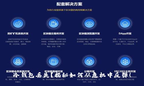 冷钱包丢失?揭秘如何从危机中反弹!