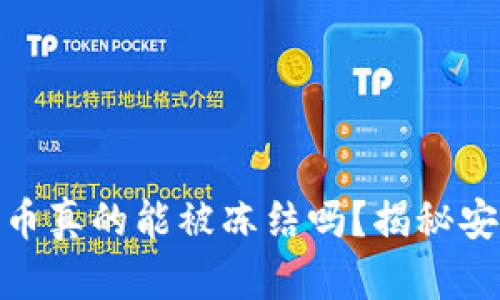 冷钱包的币真的能被冻结吗?揭秘安全与风险