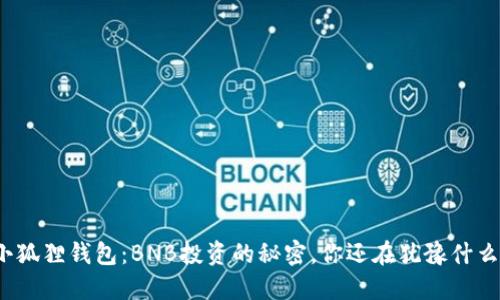 小狐狸钱包:BNB投资的秘密,你还在犹豫什么?