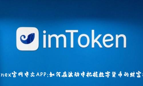Bitfinex官网中文APP：如何在波动中把握数字货币的财富机遇？