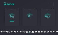 揭开秘密:中国人如何安全存储数字资产的冷钱