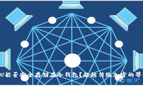 黑U能否安全存储在冷钱包?超越传统加密的界限!