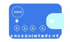 易币付:合法还是隐秘?揭开数字支付背后的真