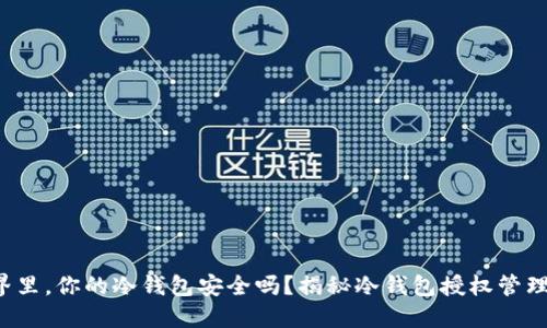 在数字货币的世界里，你的冷钱包安全吗？揭秘冷钱包授权管理系统的关键挑战！
